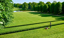 ProNitro® helps seeds and turf survive a drought  